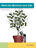 Textbook 4th Edition,new text, blemished